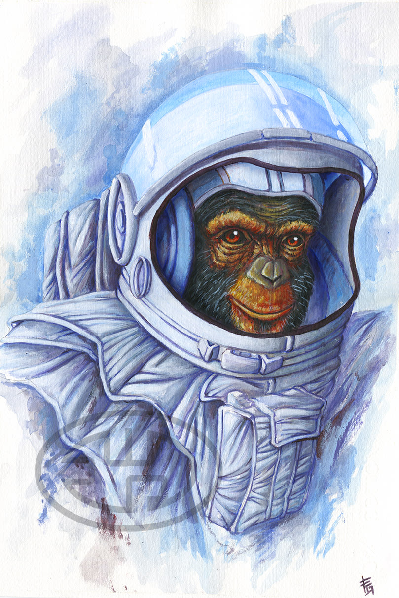Space monkey -1
