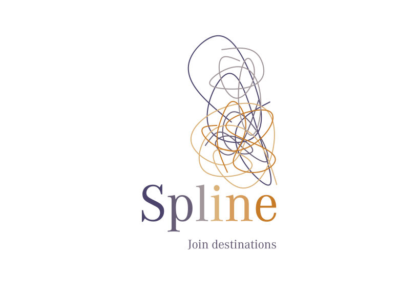 Spline_ identidad corporativa de una aerolínea 1