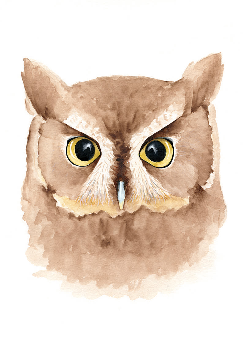 Watercolor Owl -1