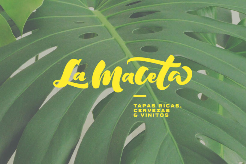 La Maceta - Branding 6