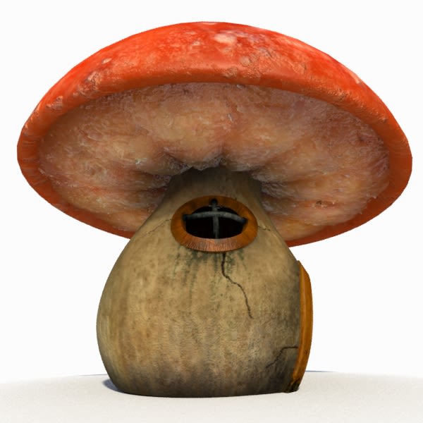 Casa hongo 3D (mushroom house) 1