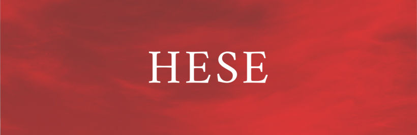 Hese Consulting -1