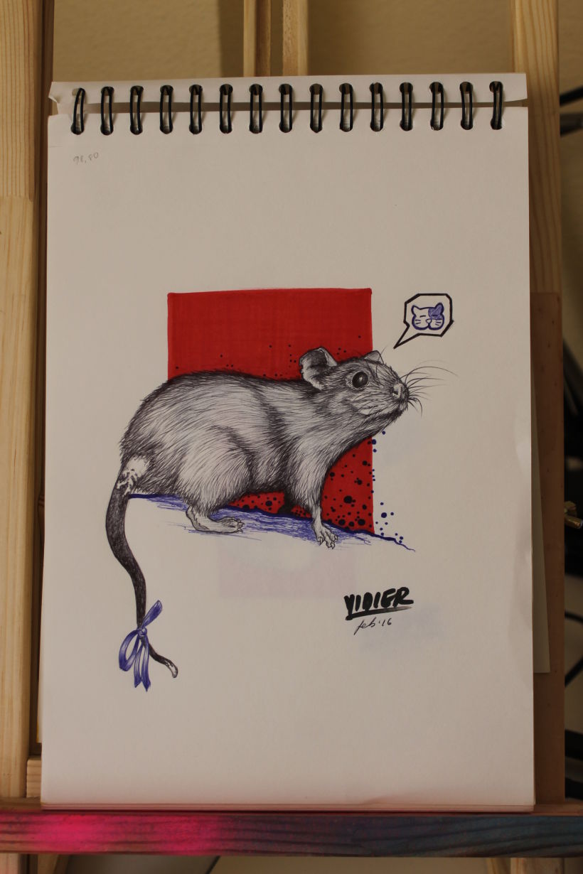 Rata gris 1