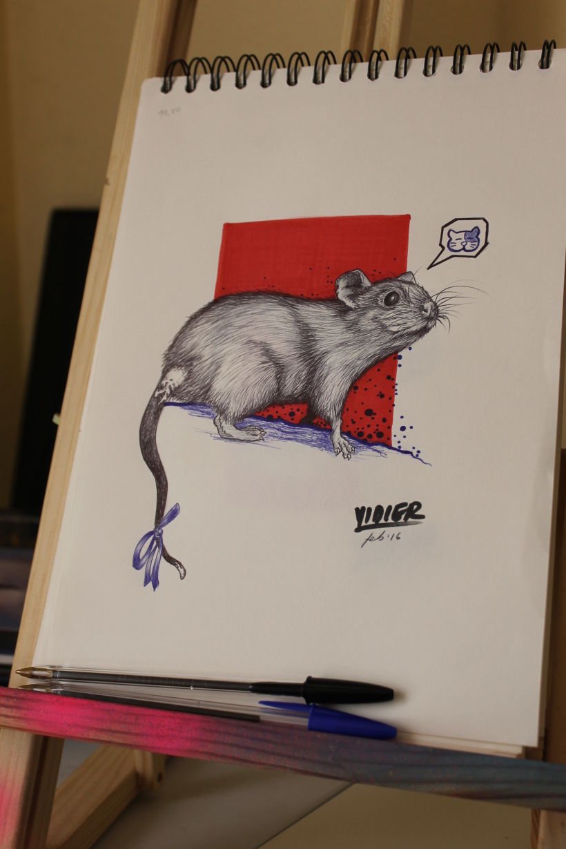 Rata gris 2