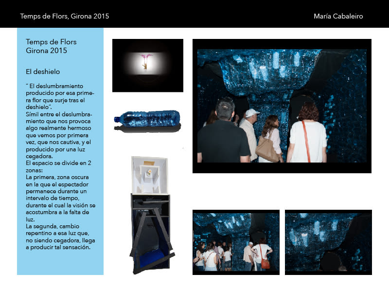 El deshielo: Proyecto seleccionado para Temps de Flors, Girona 2015 ( 1er curso Interiorismo gráfico ) -1
