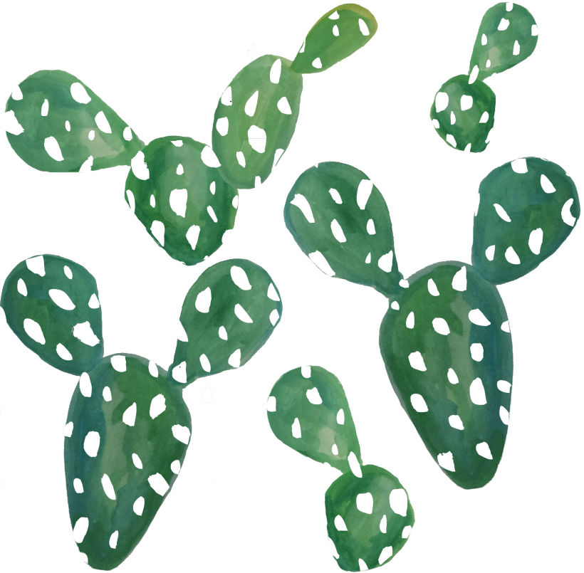 Cactus Pattern 0
