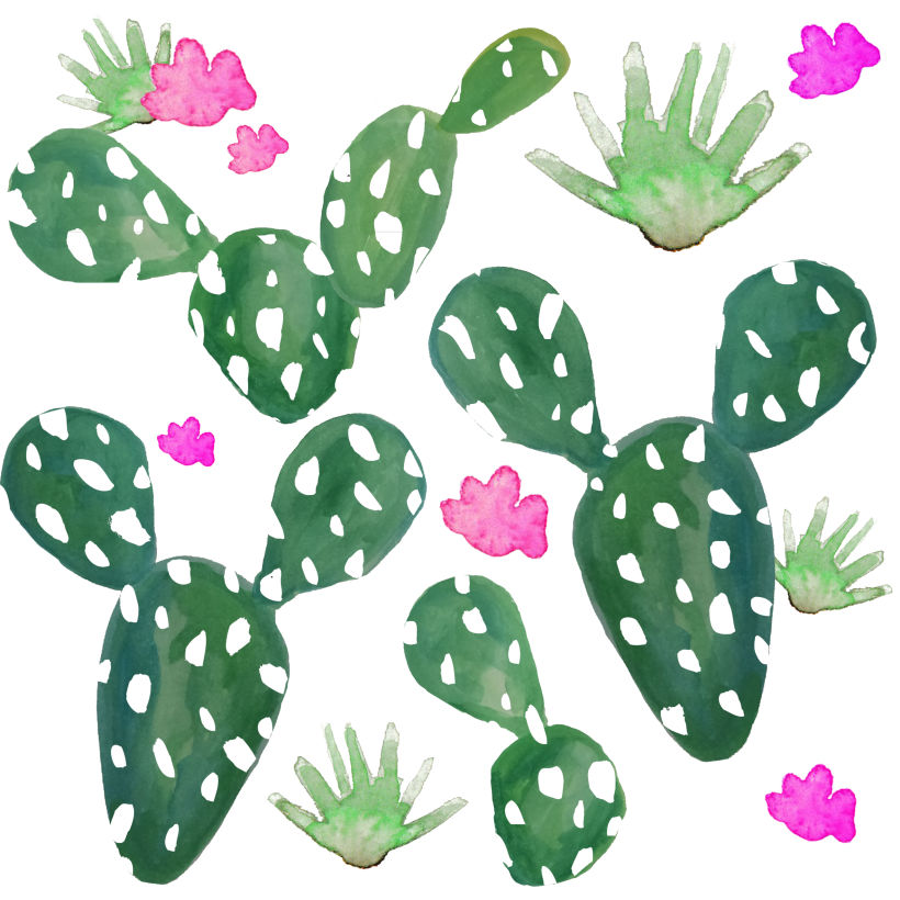 Cactus Pattern 1