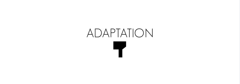 Adaptation 0