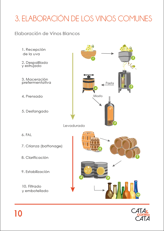 Manual formativo vino y cata: pequeña muestra de maquetación e ilustraciones originales 3