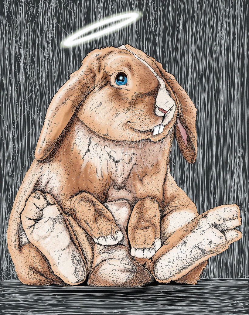 Ilustración "Bunny" 1