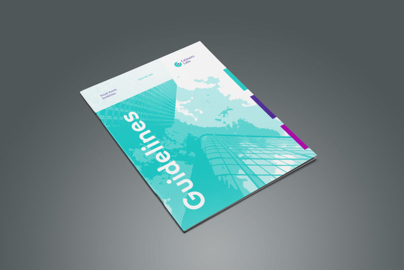 Guía de branding y recursos visuales (Calasanz Labs, 2015) 0