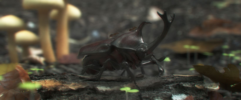 escarabajo -1