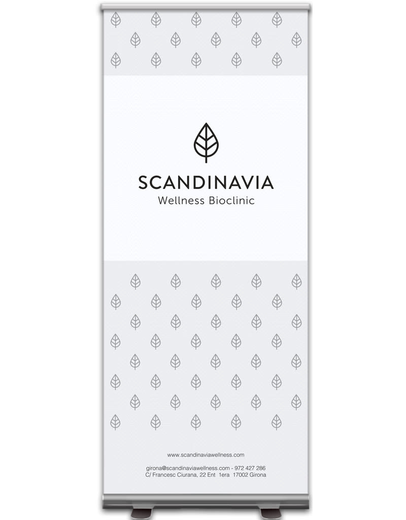 SCANDINAVIA | Roll-up 0