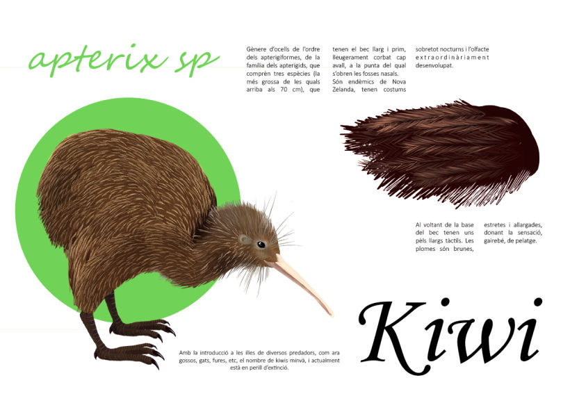 Kiwi e Iris 0