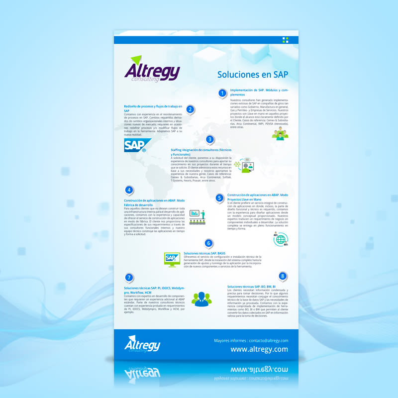 Altregy Consulting 2