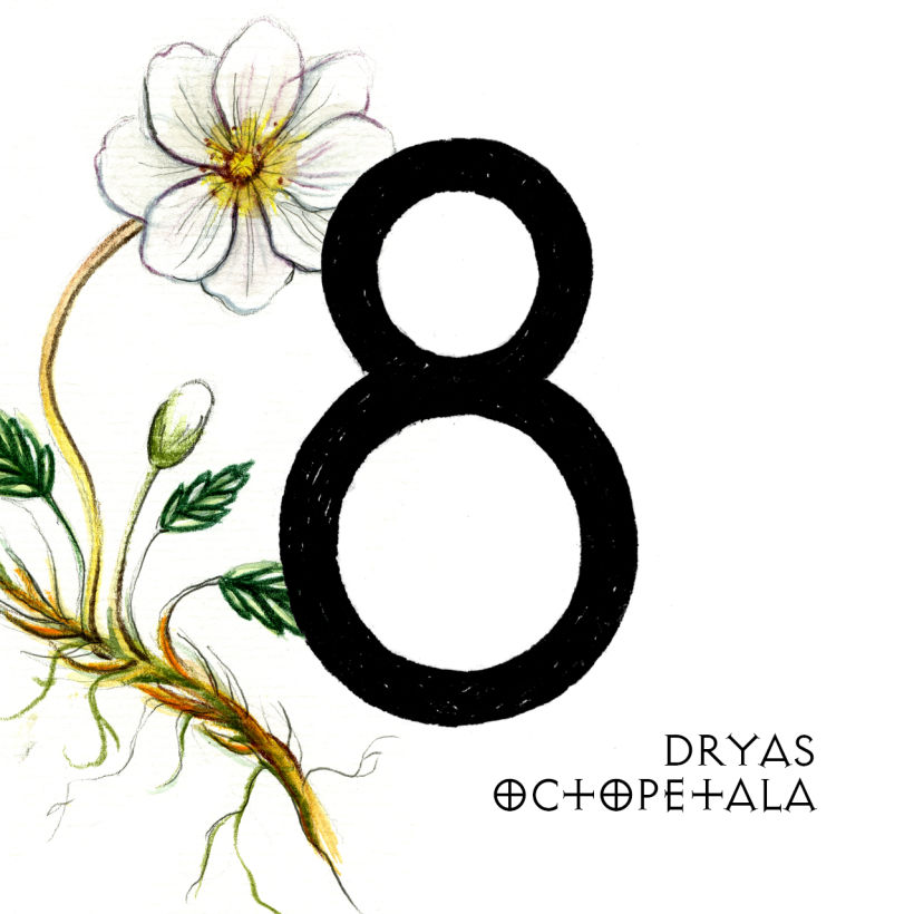 36 days of typography 34