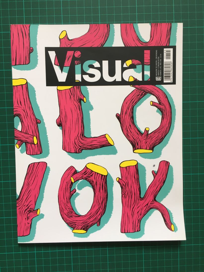Lote de revistas Visual 5