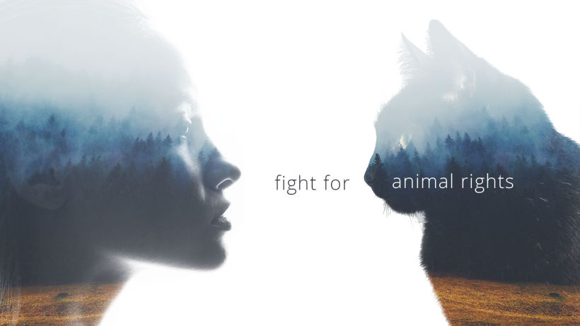 Fight for animal rights -1