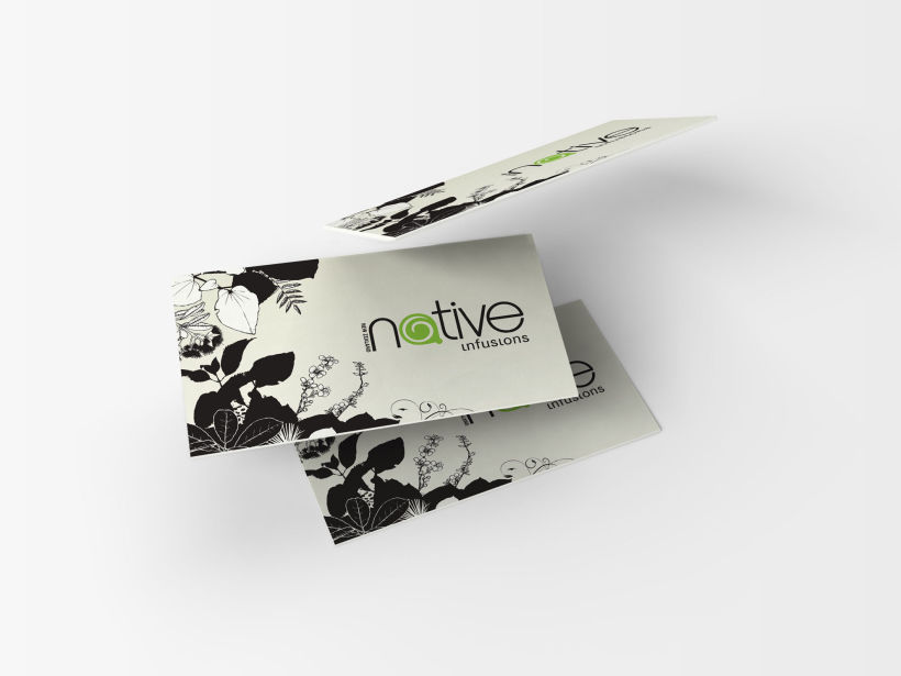 Native Infusions // Logo & Branding Design 1