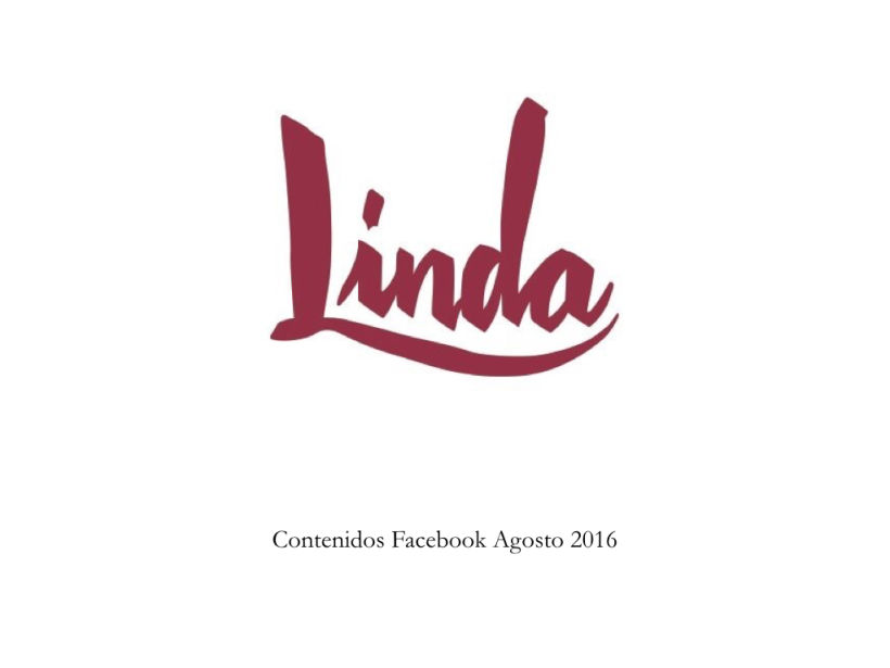 Linda Social Media Plan 9