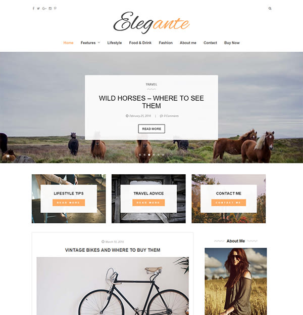 Elegante - Clean & Elegant Blog Theme 0
