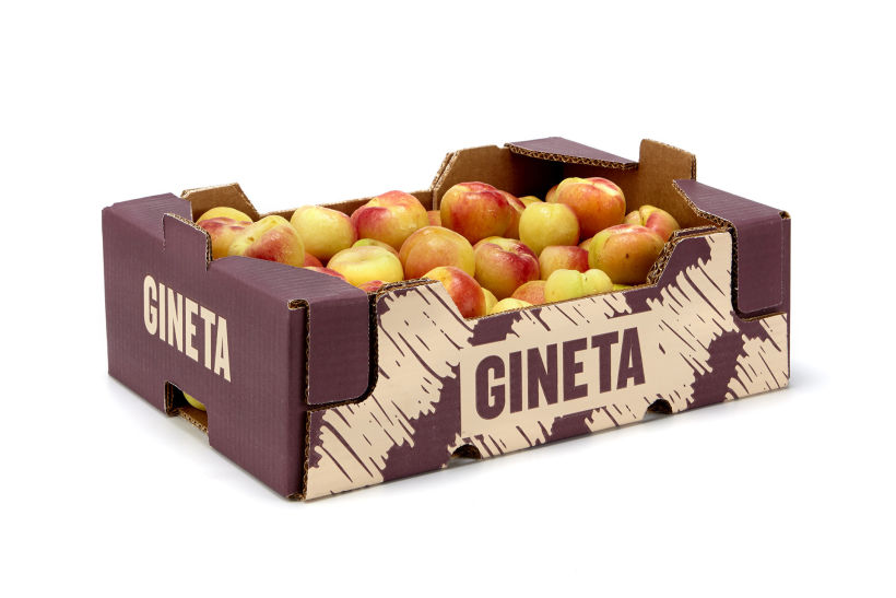 GINETA (frutas) 3