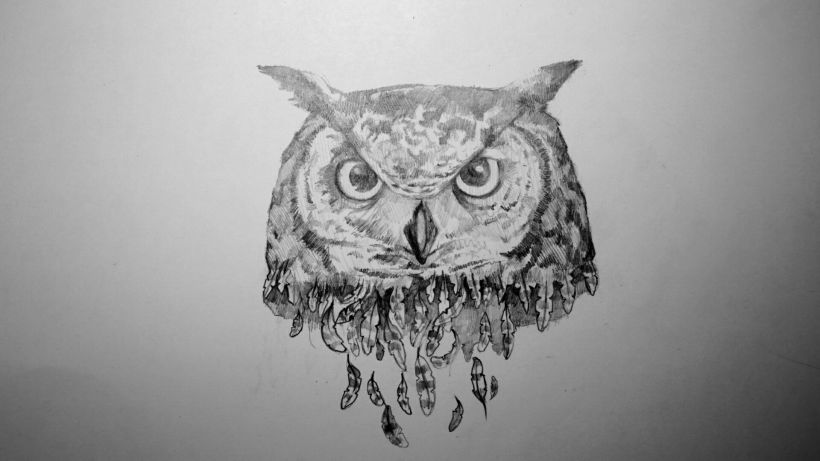 The old owl! 0
