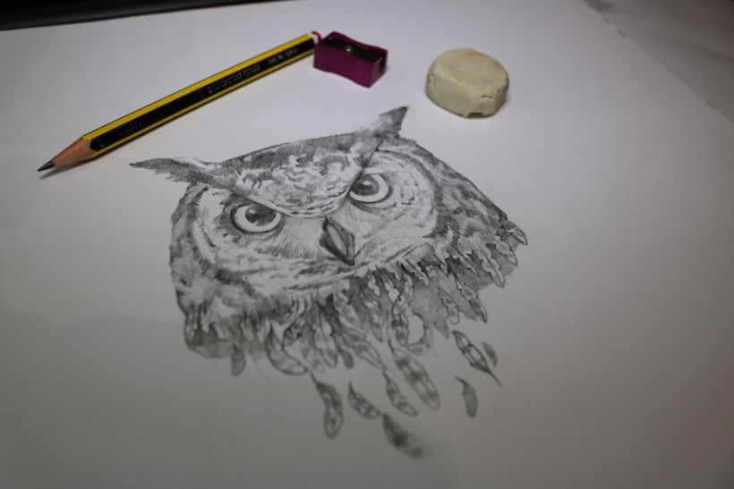 The old owl! 1