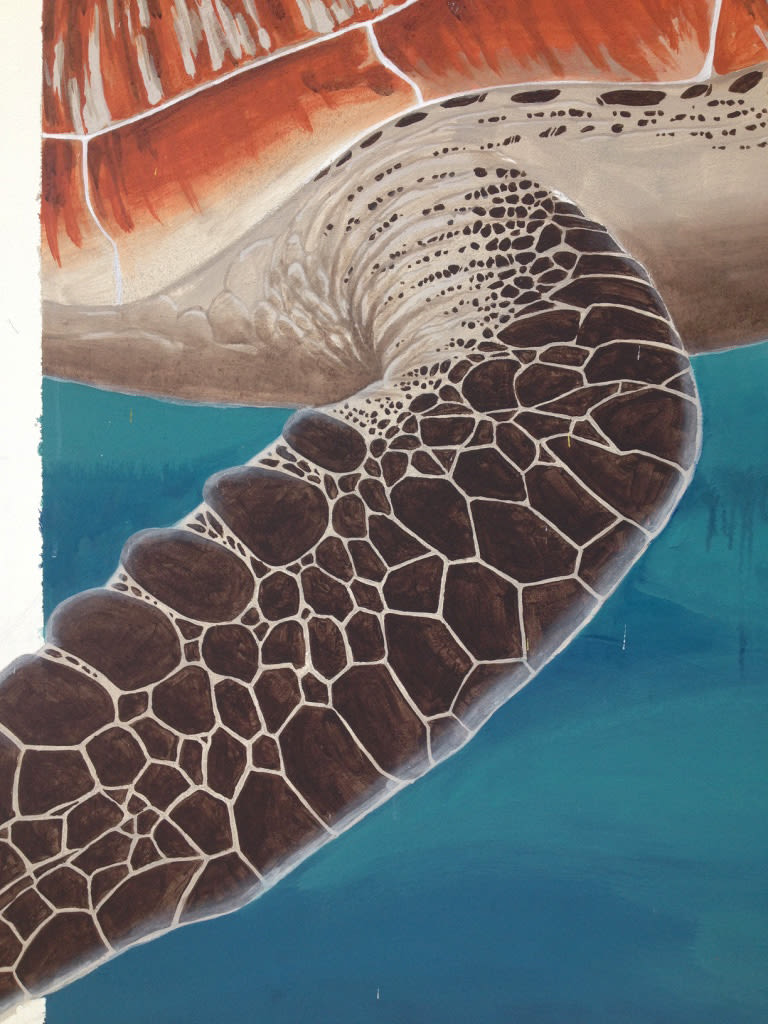 Tortuga marina / Pintura Mural 4