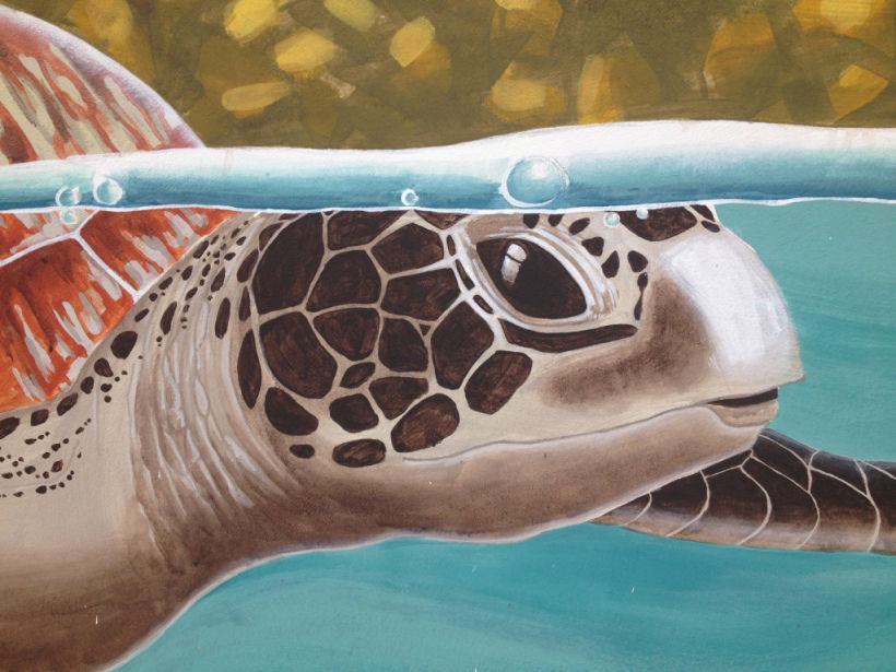 Tortuga marina / Pintura Mural 5