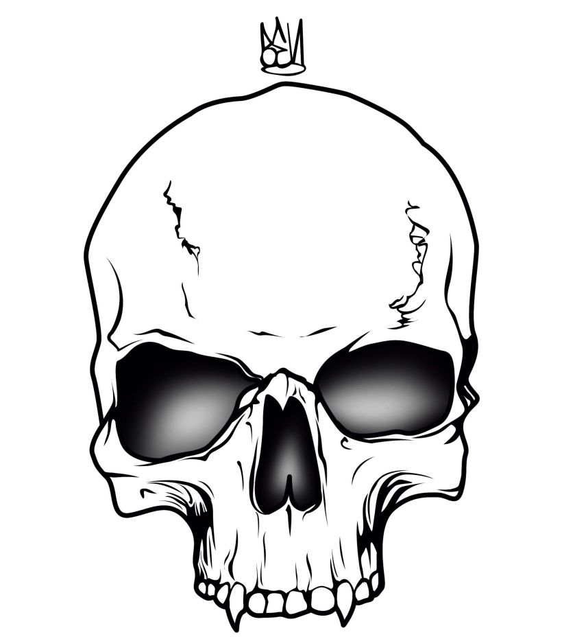 skull -1