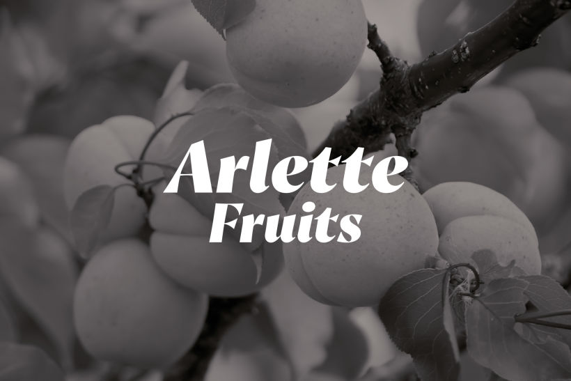 Arlette Fruits 1