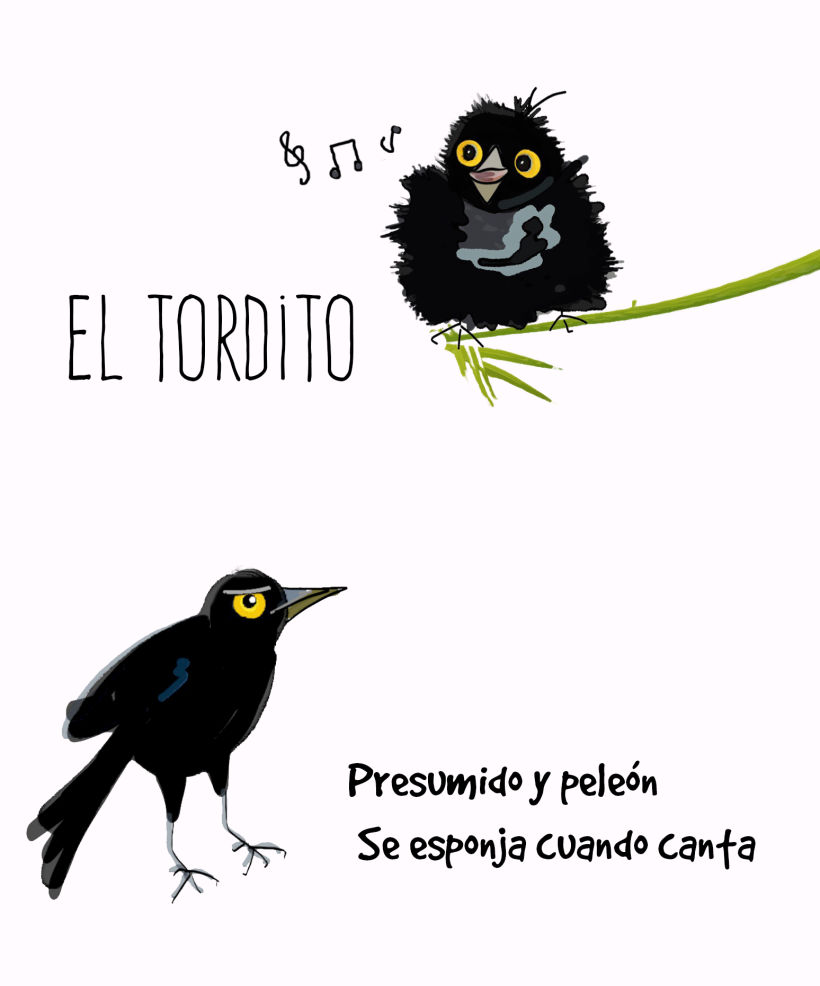 El tordito BlackBird -1