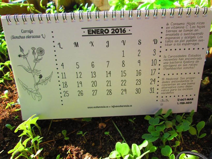 Calendarios ecológicos 1