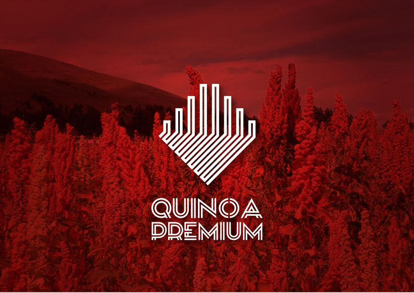 Imagen Corporativa Quinoa Premium 0