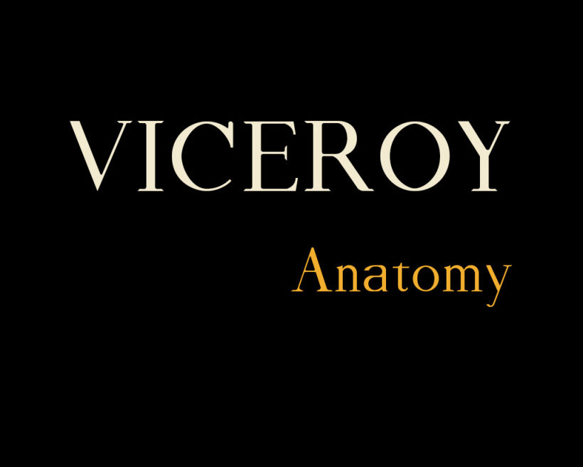 Viceroy Typo 0