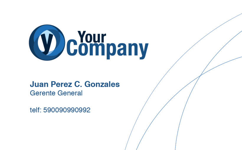 Manual de Identidad - Your Company - Marca para Banca Empresarial 13