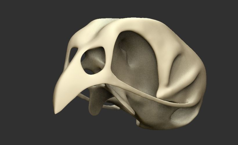 Cráneo de Priolo 2