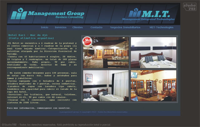 Logo y sitio web para Management 1