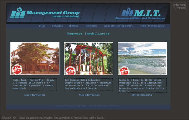 Logo y sitio web para Management 2