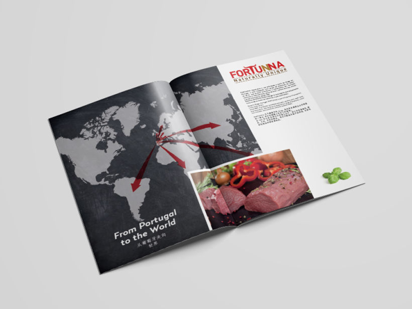 Meat Catalogue | Catálogo de Carne 1