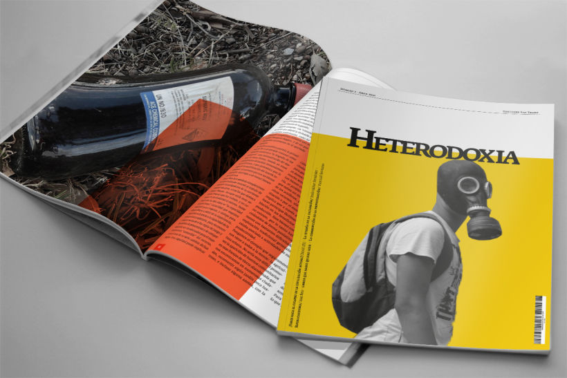 Revista HETERODOXIA 7