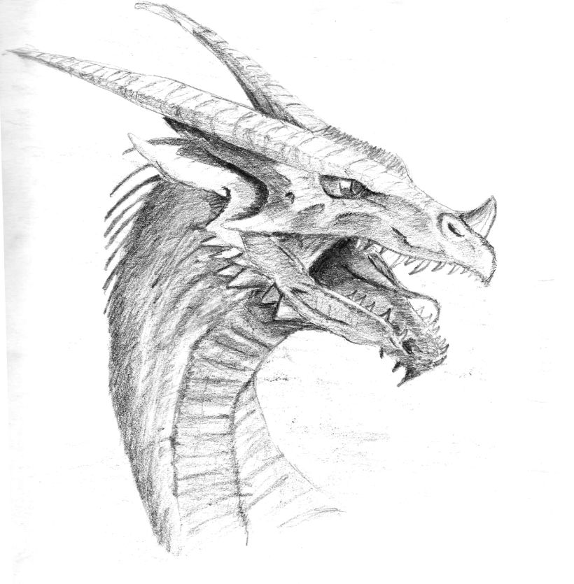 Ilustración de bustos de dragón 0