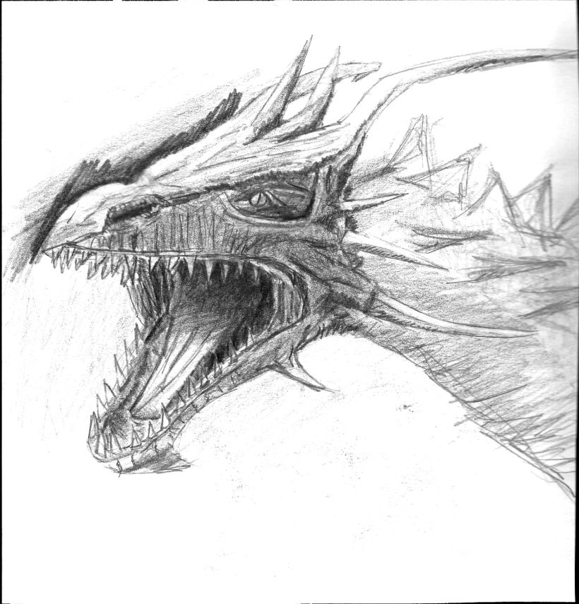 Ilustración de bustos de dragón 1