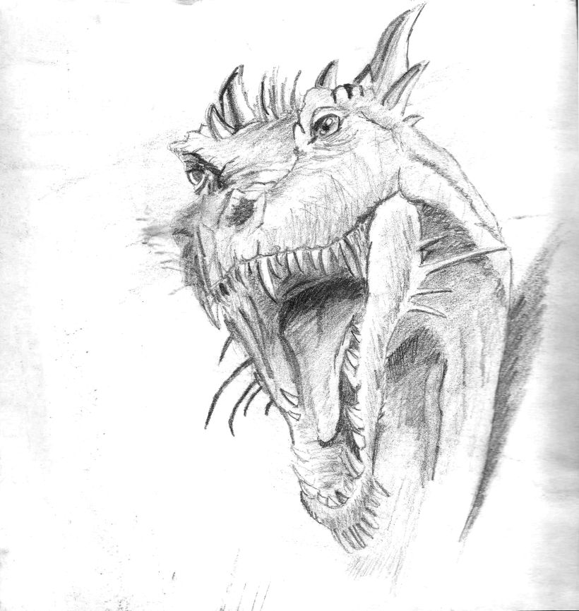 Ilustración de bustos de dragón 2