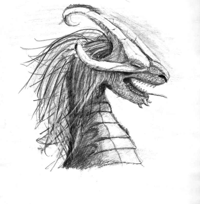 Ilustración de bustos de dragón 3