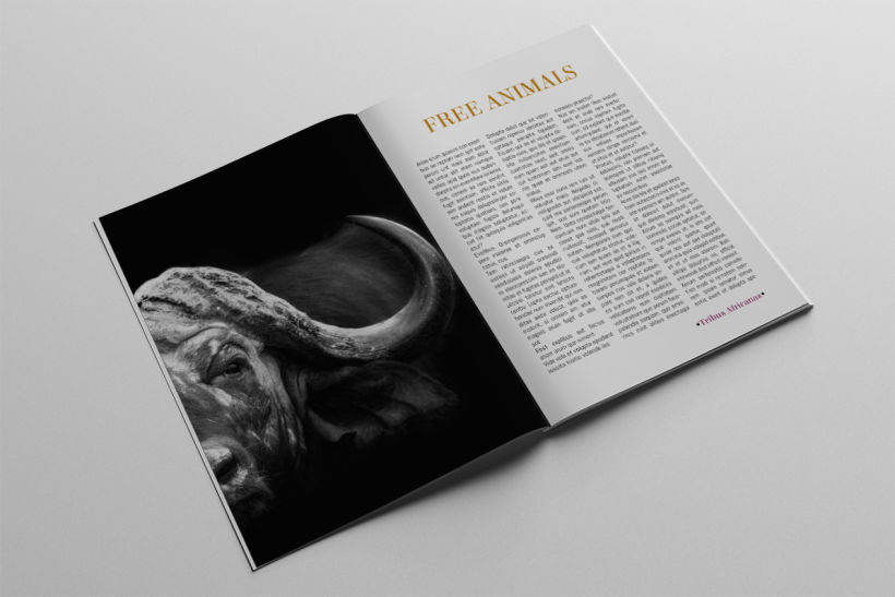 Diseño Editorial Tribus Africanas. 7