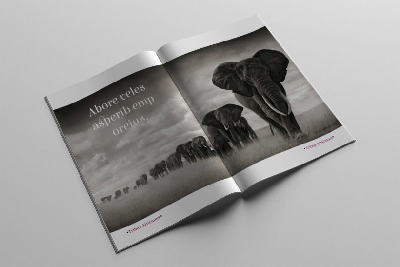 Diseño Editorial Tribus Africanas. 10