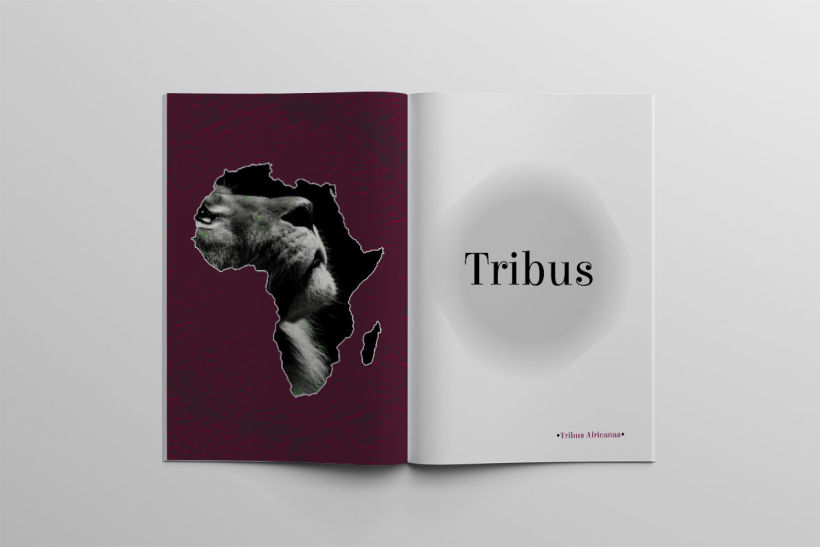 Diseño Editorial Tribus Africanas. 11