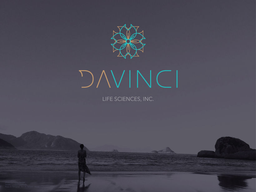 DaVinci Life Sciences, INC | logo 1